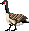 space goose